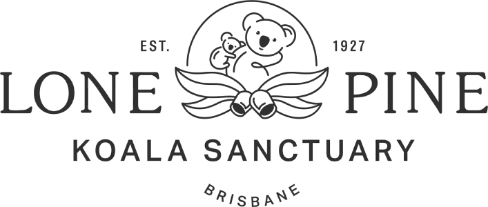 lone-pine-logo-1